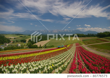 Four seasons Ayana no Oka in early summer Four seasons Ayana no Oka in early summer 80776573