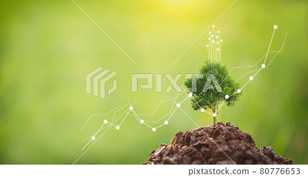 CSR concept and business planting 80776653