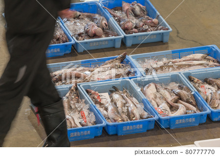 【魚市深海魚】 80777770