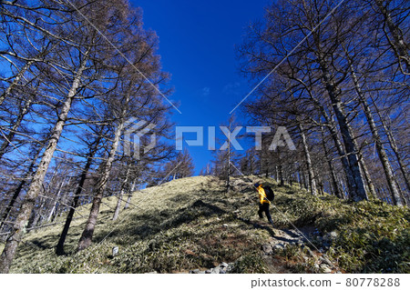 Climbers on the Kumotori ridgeline and Ishione vertical runway in winter Climbers on the Kumotori ridgeline and Ishione vertical runway in winter 80778288