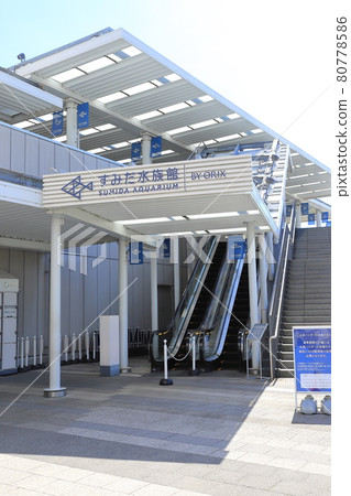 東京晴空塔墨田水族館 東京晴空塔墨田水族館 80778586
