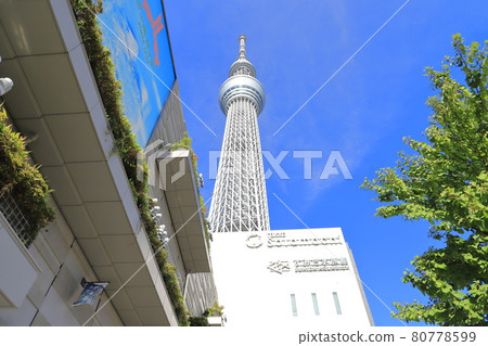 Tokyo Sky Tree Sumida Aquarium 80778599