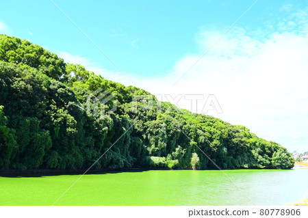 Karusato 大塚古墓 80778906