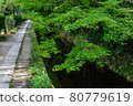 Philosophy Road and Fresh Green 80779619
