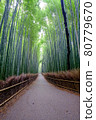 Bamboo Forest 80779670