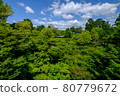 Fresh green of Tofukuji 80779672