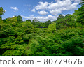 Fresh green of Tofukuji 80779676
