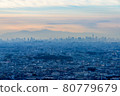 Osaka Plain seen from the observatory 80779679