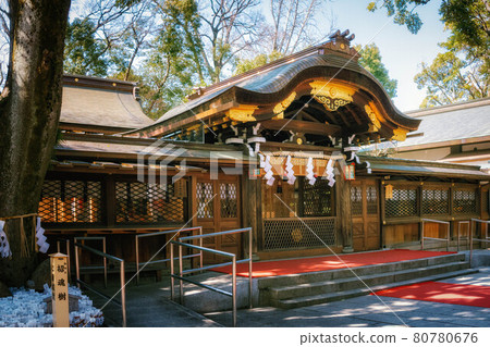 京都具神社的正門和魂樹根部的坐扦 京都具神社的正門和魂樹根部的坐扦 80780676