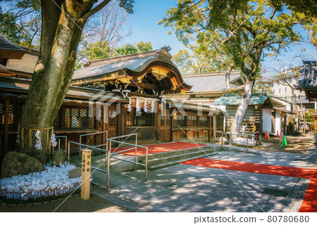 京都具神社的正門和魂樹根部的坐扦 京都具神社的正門和魂樹根部的坐扦 80780680
