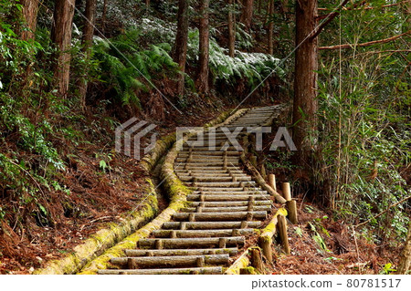 在通往高根城遺址的山路上 80781517