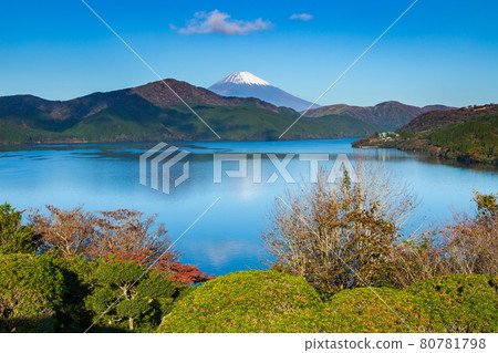 Mt. Fuji and Lake Ashi / Autumn scenery at Onshi-Hakone Park, Hakone Town, Kanagawa Prefecture 80781798