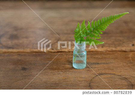 小花瓶中的蕨類植物 80782839