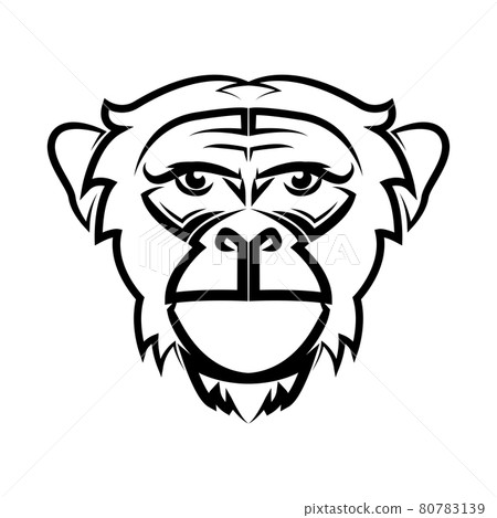 animal, logo, vector 80783139
