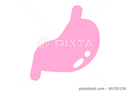 Stomach vector illustration 80783230