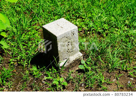 埼玉上峰山一級三角測量站 80783234