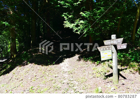 From Saitama Jominesan Ishima Pass toward the summit From Saitama Jominesan Ishima Pass toward the summit 80783287
