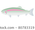 Rainbow trout 80783319