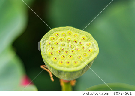 雜物掉落後的插座 80784561