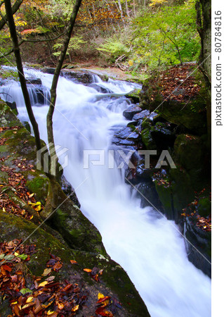 秋天的江龍大瀑布（福島縣·Samekawa村） 80784816