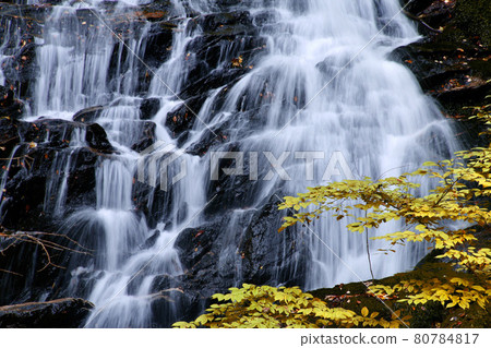 Falls of Jianglongda in autumn (Fukushima prefecture · Samekawa village) Falls of Jianglongda in autumn (Fukushima prefecture · Samekawa village) 80784817
