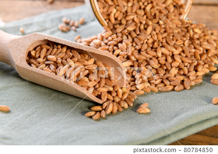 Raw Organic Spelt Grain in the wooden scoop Raw Organic Spelt Grain in the wooden scoop 80784850
