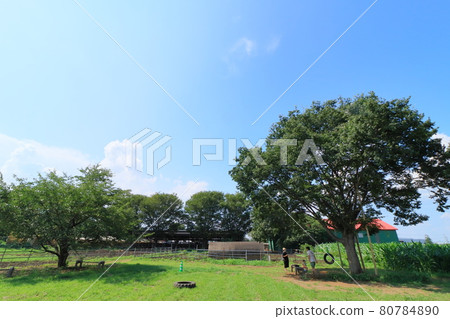 藍天和農場風光夏日形象 80784890