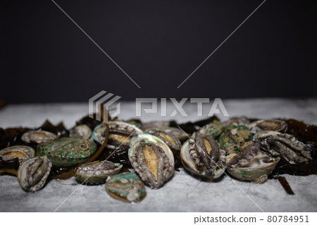 abalone abalone 80784951