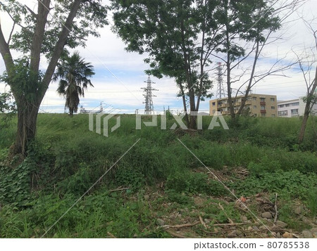 Abukuma 河堤防和樹木 福島市 Watari 80785538