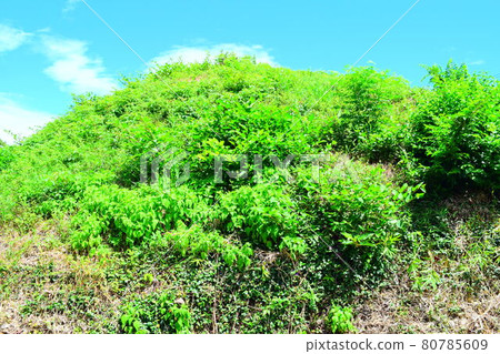 Nishiumazuka Tumulus 80785609