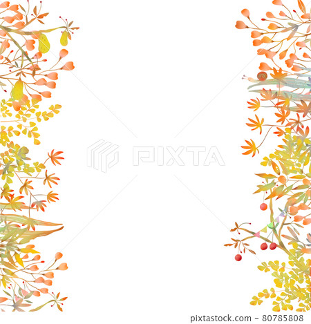 Scandinavian fashionable autumn plant and fruit forest white background frame illustration 80785808