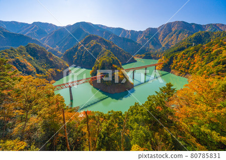 Okuoikojo 站的紅葉 80785831