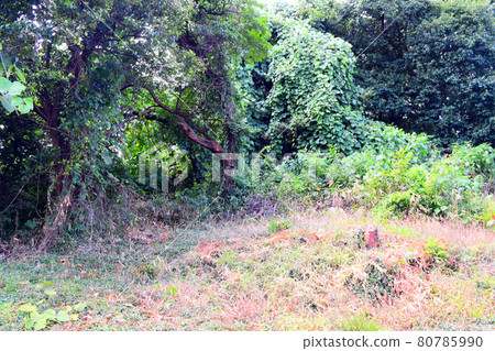 Tomb Mountain tomb Tomb Mountain tomb 80785990