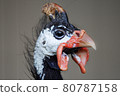 Guinea fowl (face up) 80787158