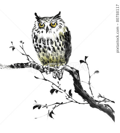 Mizuku on a branch drawn by ink painting technique 80788117