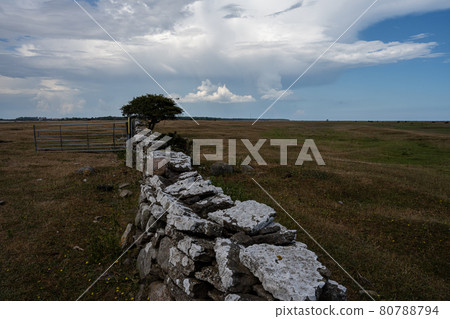 A limestone wall in a moor landscape A limestone wall in a moor landscape 80788794