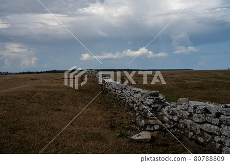 A limestone wall in a moor landscape 80788809