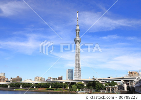 從淺草看到的隅田川、隅田公園和東京晴空塔 80789228