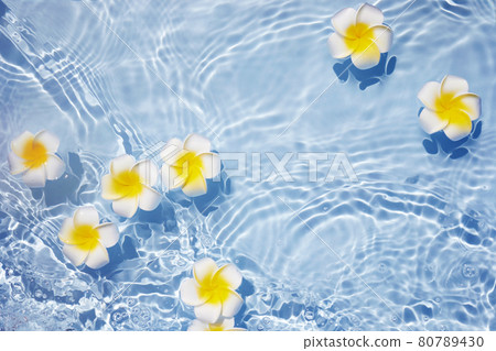 Top view Plumeria or frangipani on surface of water. Ripple of water and Shadow of flower. 80789430