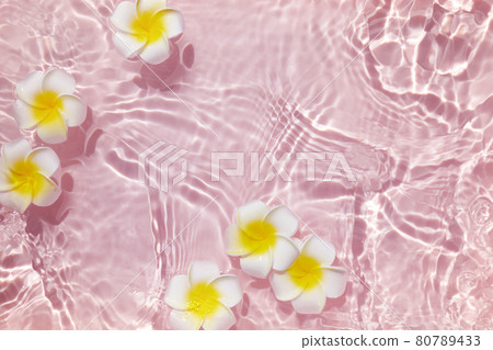 Top view Plumeria or frangipani on surface of pink water. Ripple of water and Shadow of flower. Top view Plumeria or frangipani on surface of pink water. Ripple of water and Shadow of flower. 80789433