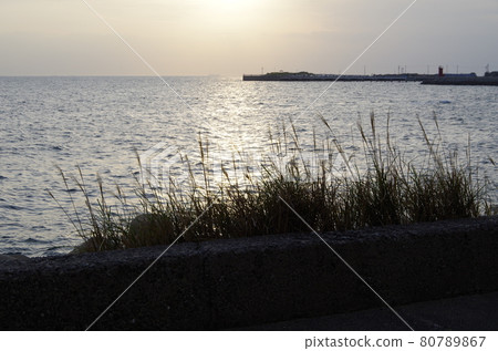 Evening view and the sea in Minamichita Town 80789867