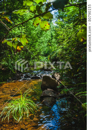 water flow on a mountain creek water flow on a mountain creek 80790155