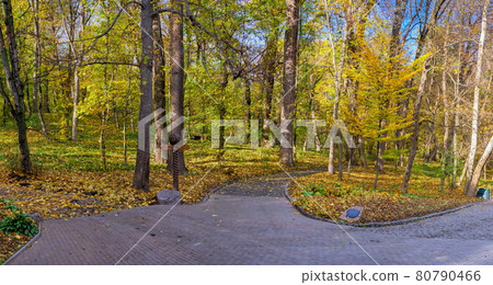 Alleys in the Sofiyivsky arboretum. Uman, Ukraine 80790466