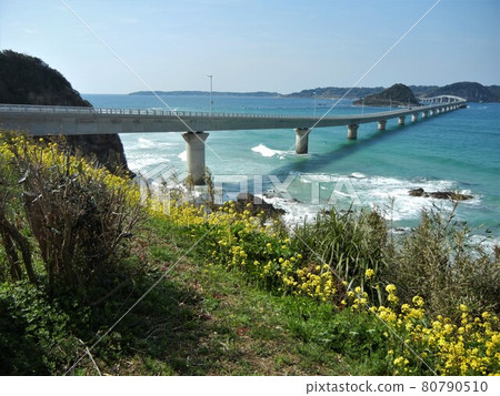 日本美麗的橋樑:山口縣下關市角島大橋 日本美麗的橋樑:山口縣下關市角島大橋 80790510