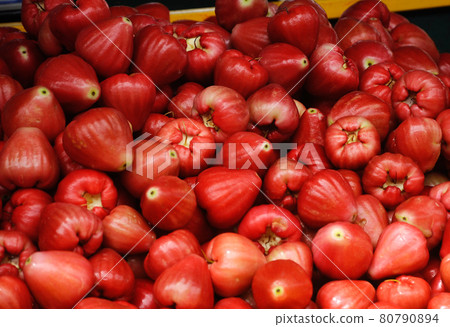 SEREMBAN, MALAYSIA -OCTOBER 01, 2016: Jambu air or the scientific name is Syzygium aqueum. Also known as water cherry or water rose apple. Is is a tropical fruit and taste very juicy. SEREMBAN, MALAYSIA -OCTOBER 01, 2016: Jambu air or the scientific name is Syzygium aqueum. Also known as water cherry or water rose apple. Is is a tropical fruit and taste very juicy. 80790894