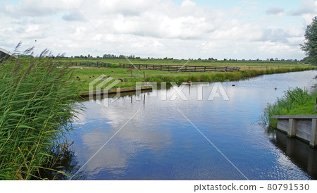 Zahnseska(荷蘭)的風景 Zahnseska(荷蘭)的風景 80791530