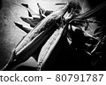 Corn 80791787