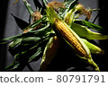 Corn 80791791