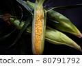 Corn 80791792