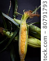 Corn 80791793